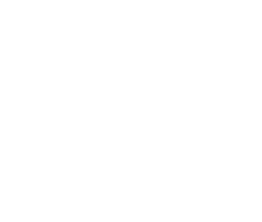 Ornix